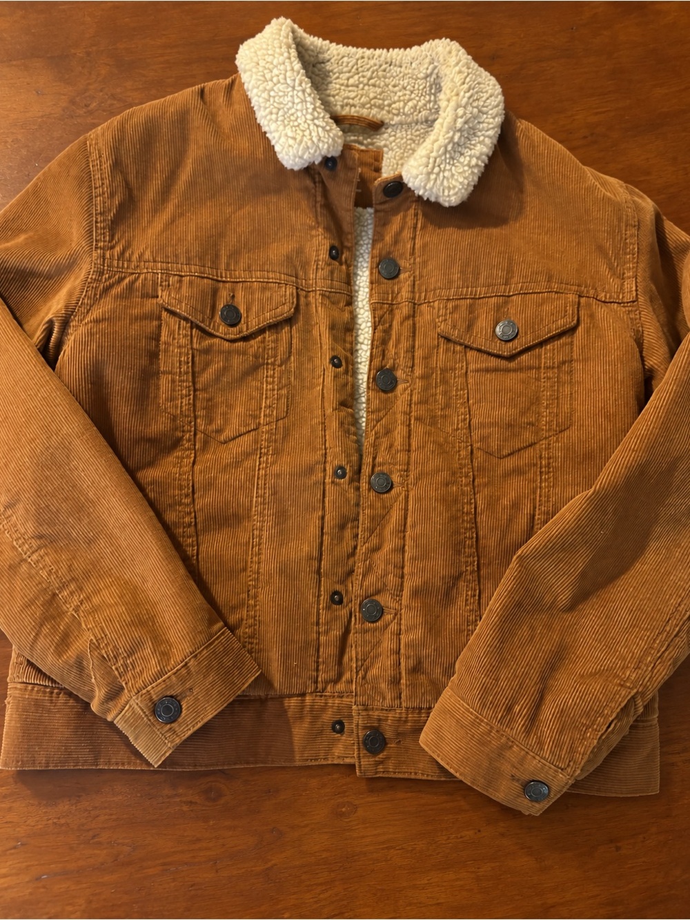 GAP Boys XXL  Corduroy Sherpa Collar Jacket in Chestnut